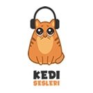 Kedi Sesleri